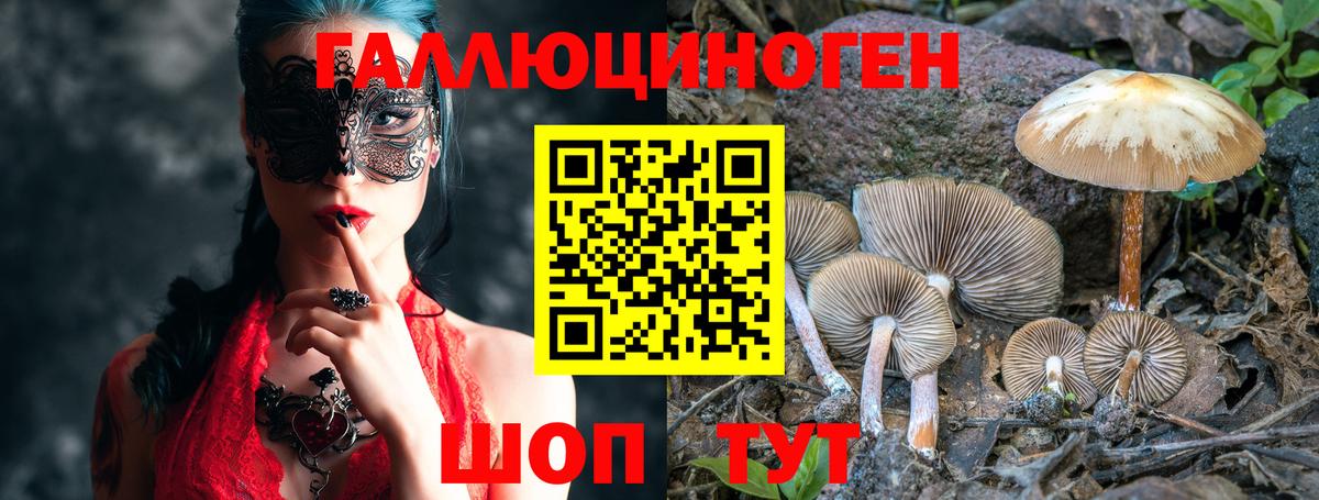 Псилоцибиновые грибы ЛСД  Вход с VPN  Галлюциногенные грибы Cubensis  Кызыл 